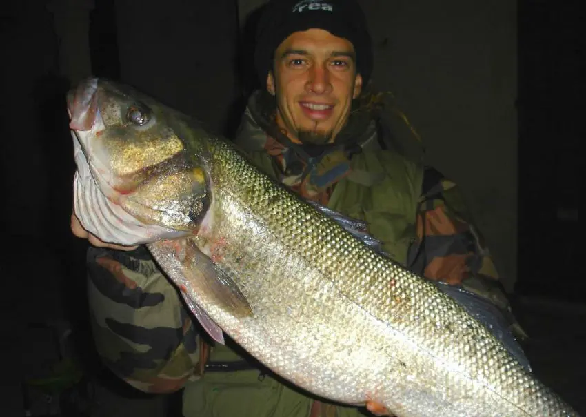 Appâts pour la pêche en surfcasting en automne