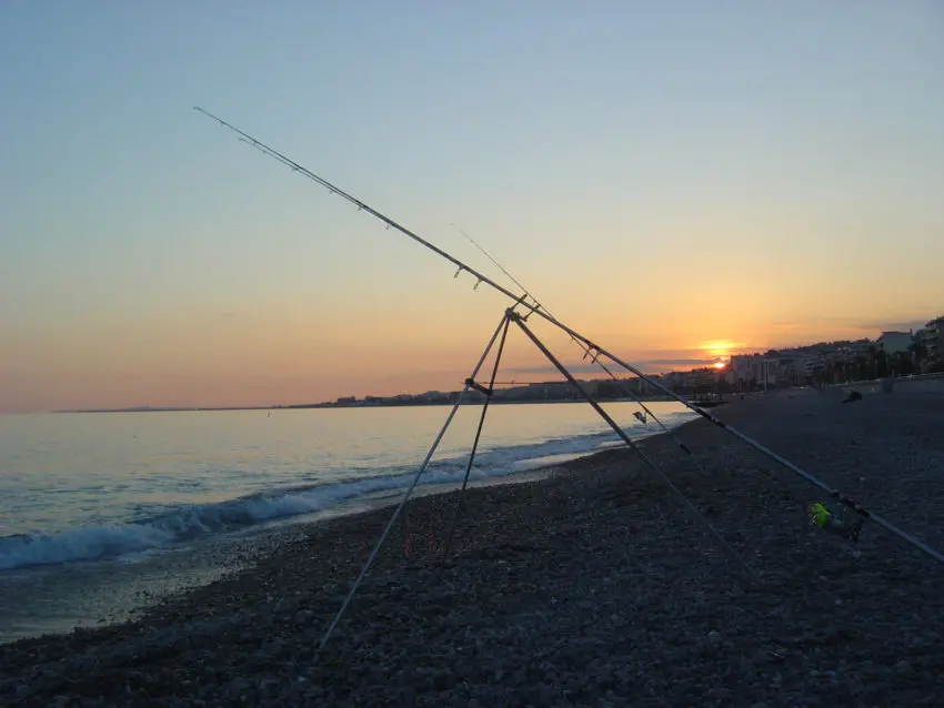 Le couteau, ainsi que la moule, sont les meilleurs coquillages qui peuvent servir d’appâts. Il est toujours intéressant d’en avoir quelques-uns lors d’une partie de pêche.