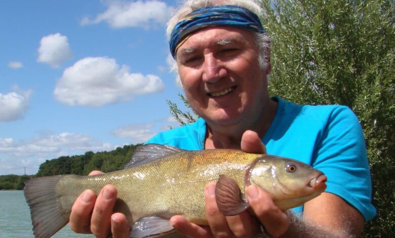 Pêche de la tanche à l'anglaise au ver de terreau