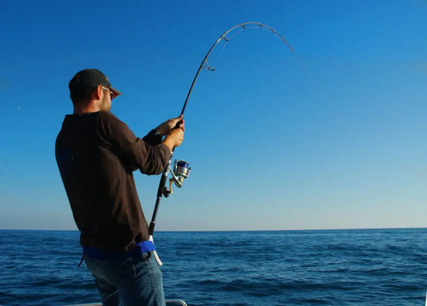 Pêche du thon rouge au popper