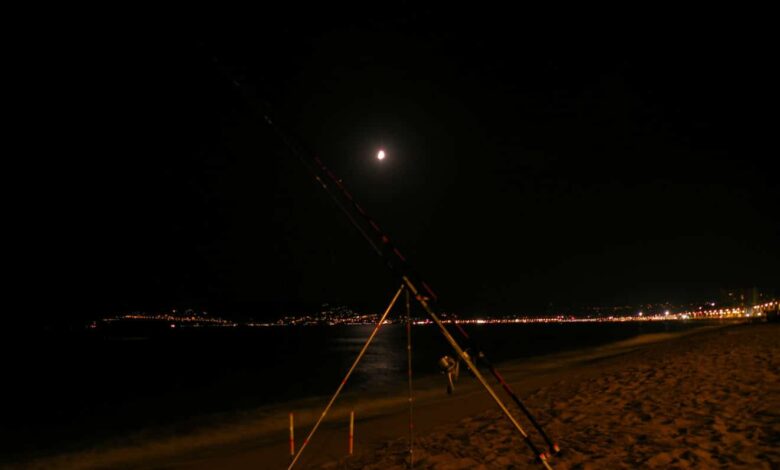 Ver de sable pour la pêche en surfcasting