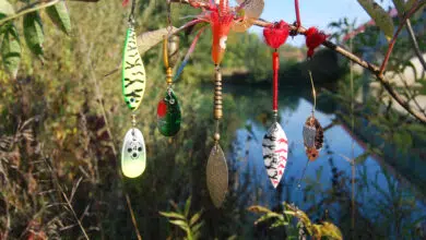 Cuillère tournante pour la pêche des carnassiers