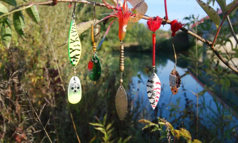 Cuillère tournante pour la pêche des carnassiers