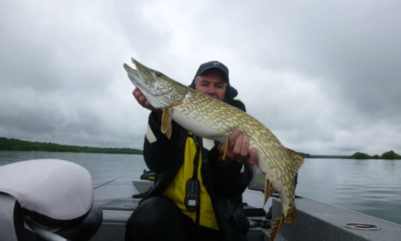 Pêche du brochet au fireball