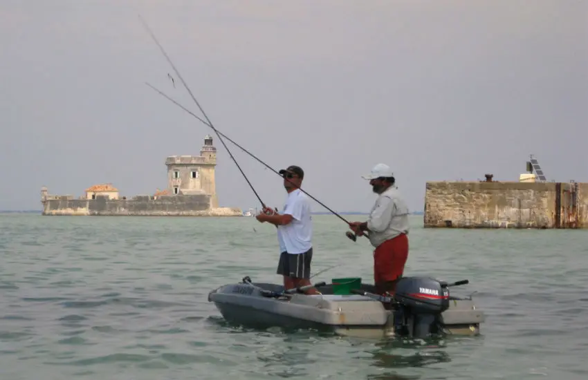 Pêche du bar loup en mer au toc