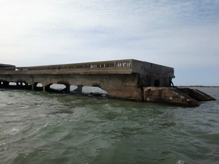 Pêche du bar loup en mer au toc