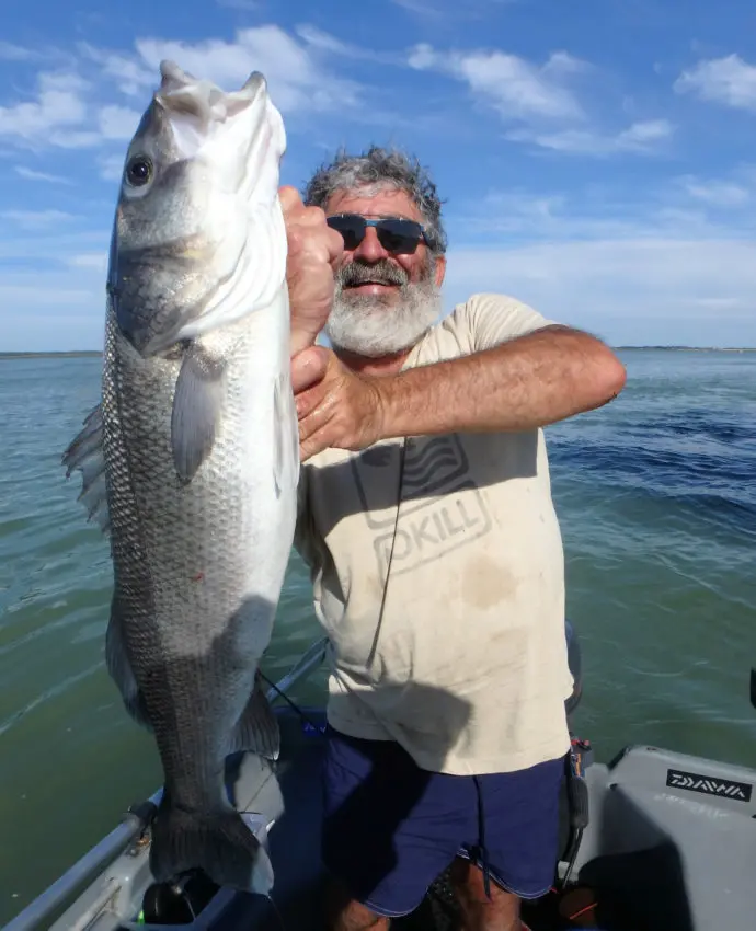 Pêche du bar loup en mer au toc