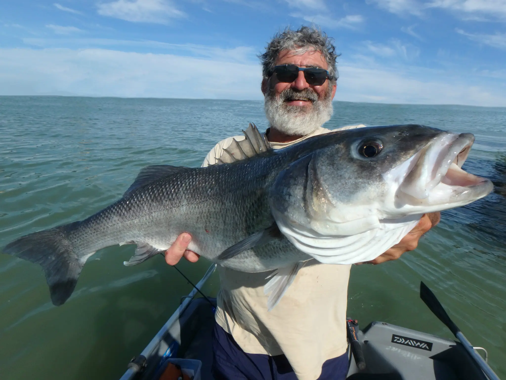 Pêche du bar loup en mer au toc