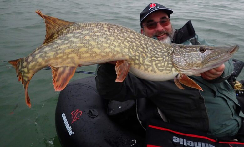 Pêche du brochet au mois de janvier