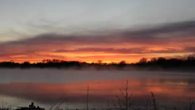 Pêche à la carpe en hiver selon la météo