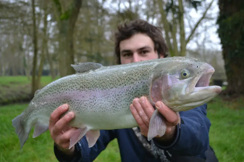 Pêche à la truite en trout area