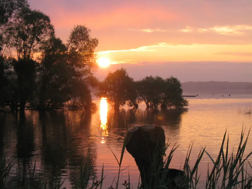 Changement climatique et pêche des carnassiers