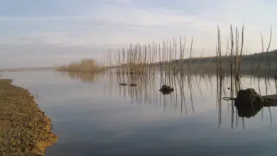 Changement climatique et pêche des carnassiers