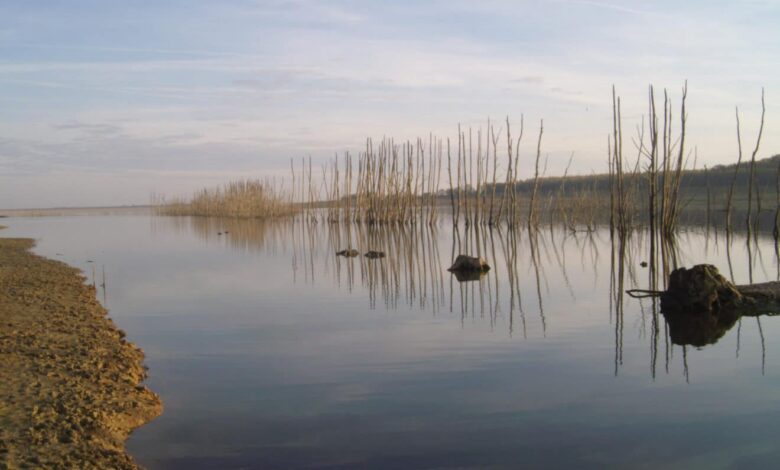 Changement climatique et pêche des carnassiers