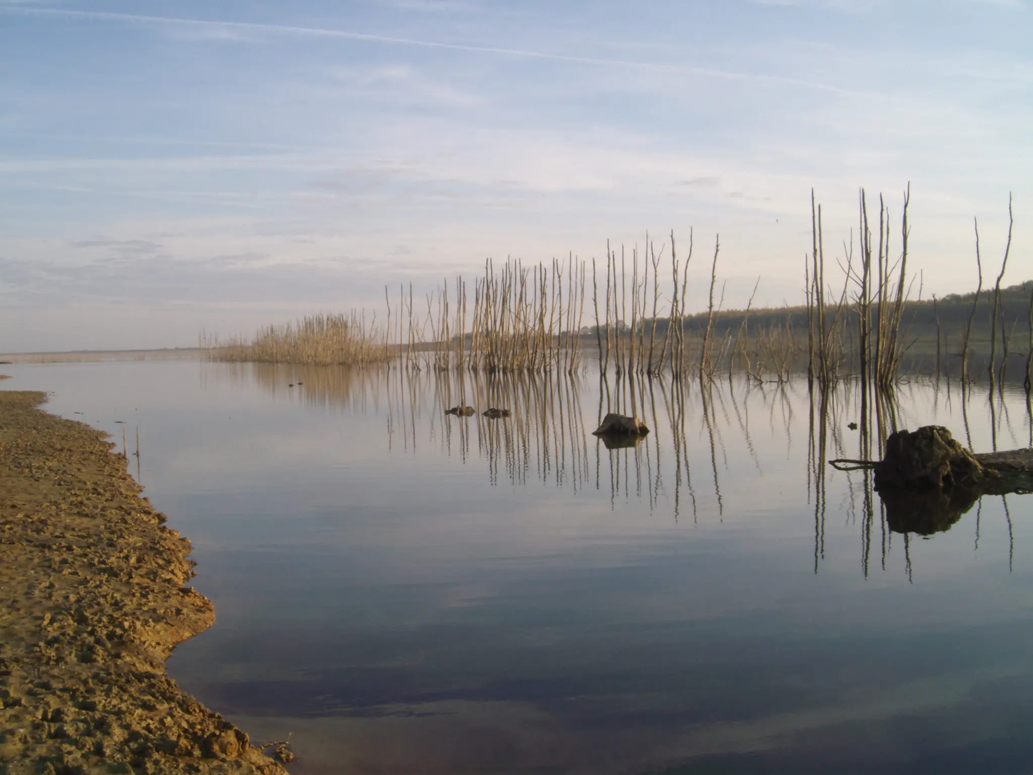 Changement climatique et pêche des carnassiers