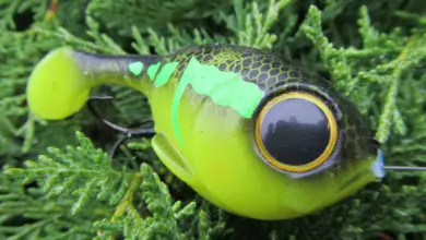 Leurre Illex Deraball pour la pêche des carnassiers