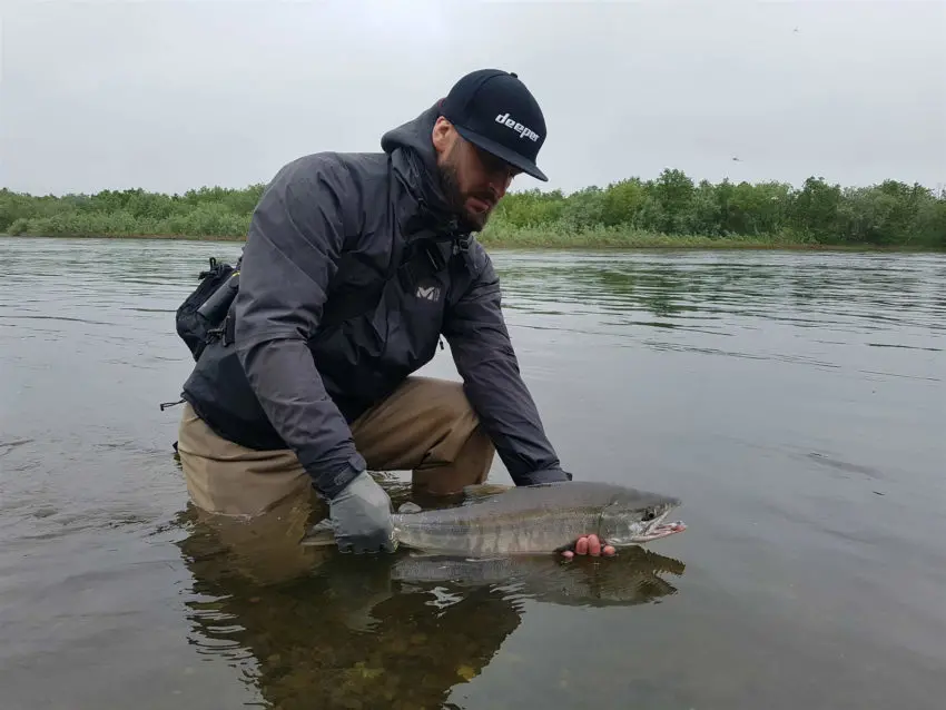 Pêche du saumon royal au Kamchatka