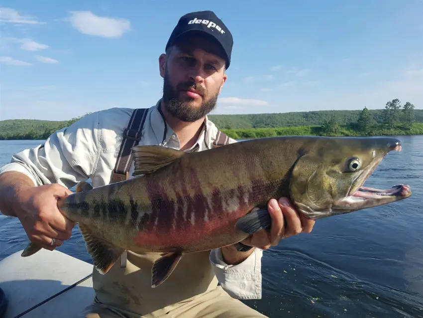 Pêche du saumon royal au Kamchatka