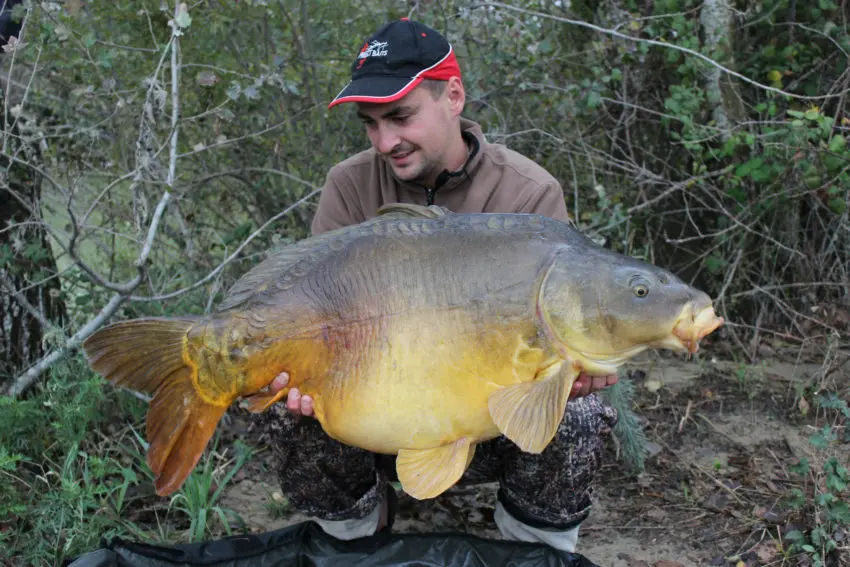 Pêche à la carpe en hiver