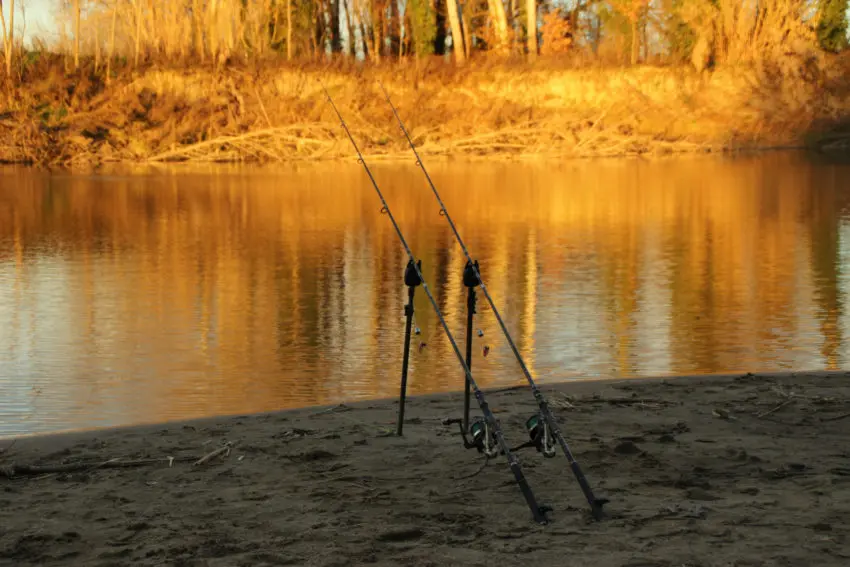 Pêche à la carpe en hiver