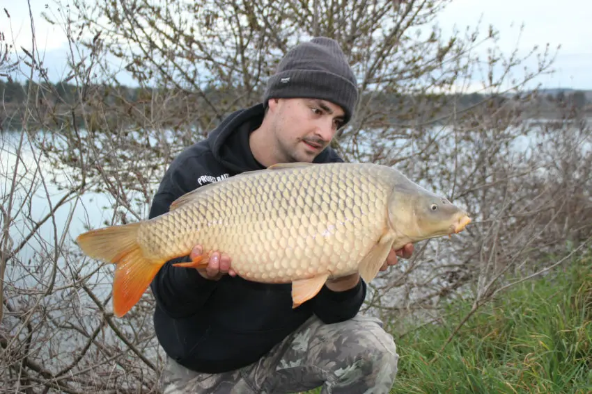 Pêche à la carpe en hiver