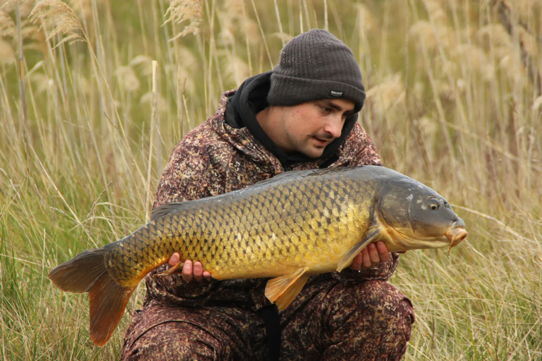 Pêche à la carpe en hiver