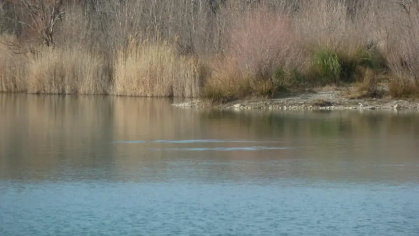 Pêche à la carpe en hiver