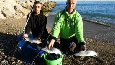 Pêche au bouchon à la miette en mer