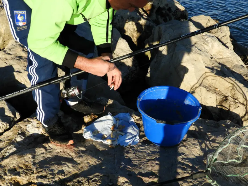 Pêche au bouchon à la miette en mer