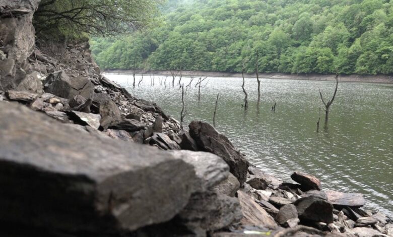 Pêche à la carpe en lac de barrage