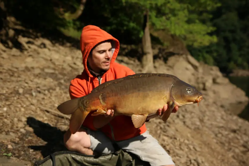 Pêche à la carpe en lac de barrage