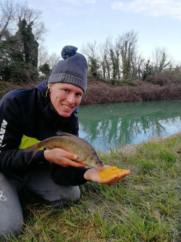 Pêche au pain au feeder