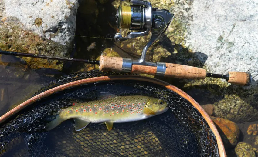 Pêche de la truite au leurre micro-spinnerbait