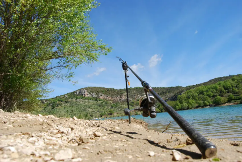 Conseils pour la pêche à la carpe