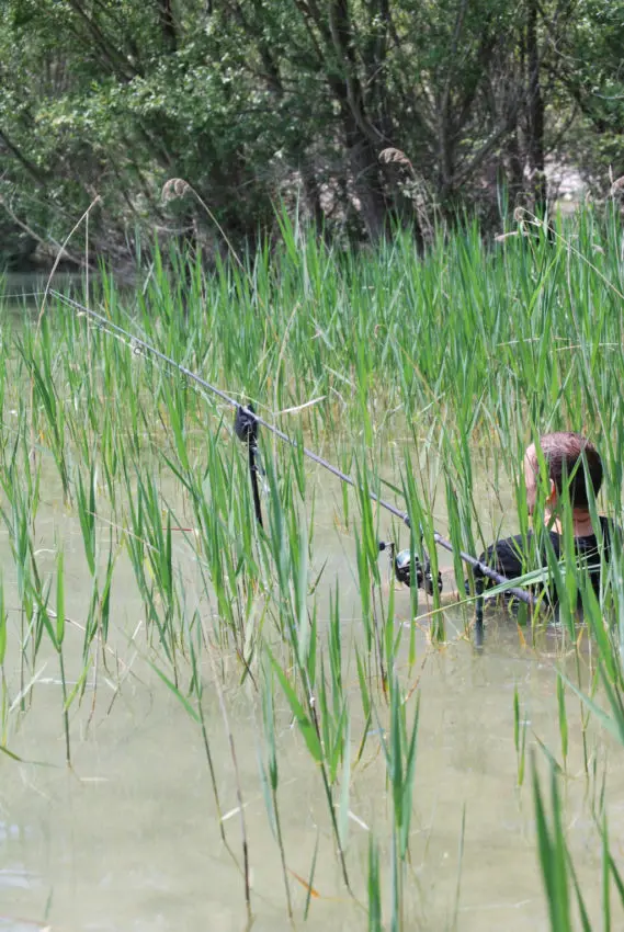 Conseils pour la pêche à la carpe