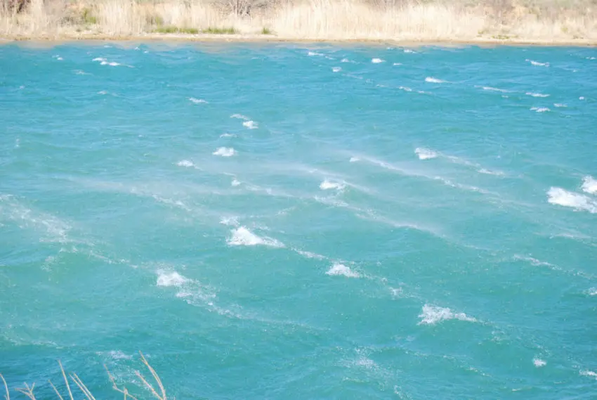 Conseils pour la pêche à la carpe