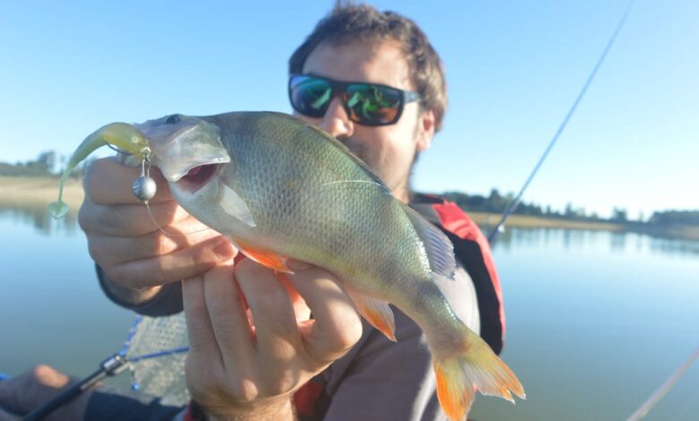 Montage Cheburaska pour la pêche des carnassiers