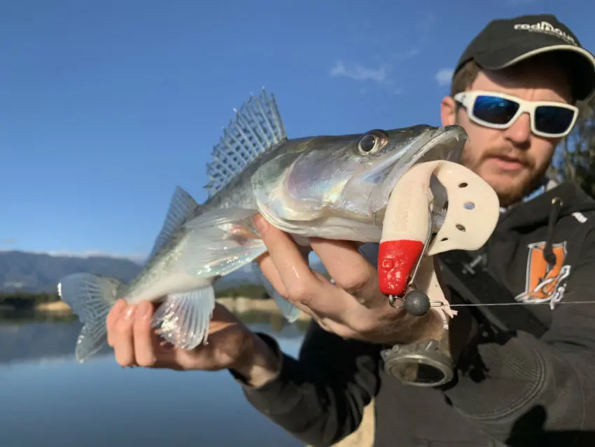 Montage Cheburaska pour la pêche des carnassiers