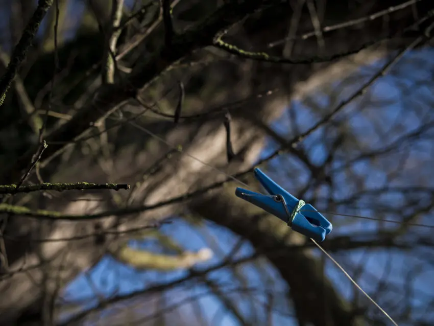 Comment pêcher la carpe en rivière au cassant