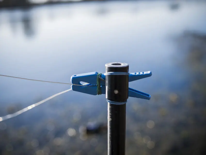 Comment pêcher la carpe en rivière au cassant