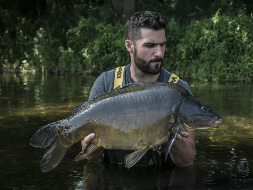 Comment pêcher la carpe en rivière au cassant