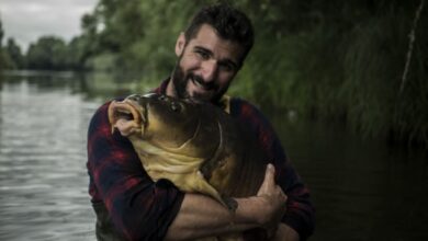 Comment pêcher la carpe en rivière au cassant