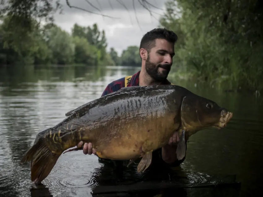 Comment pêcher la carpe en rivière au cassant