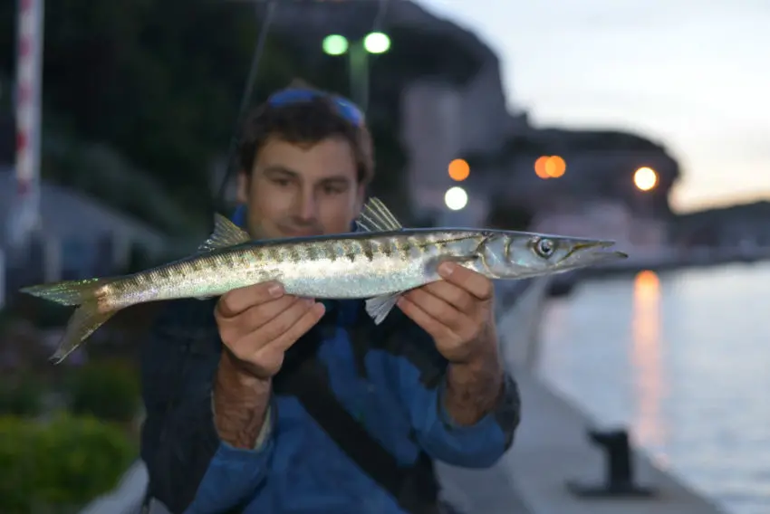 Pêche en rockfishing au printemps