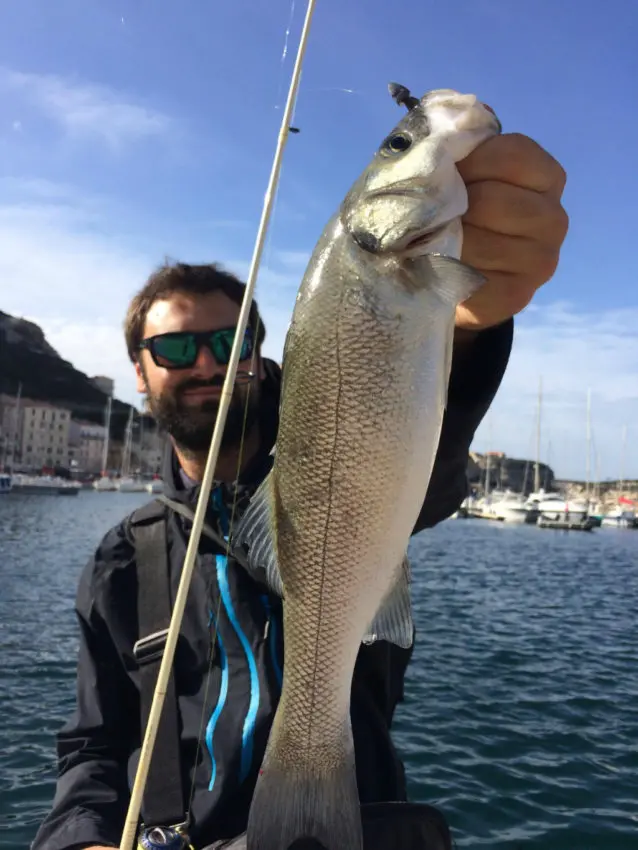 Pêche en rockfishing au printemps