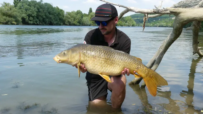 Amorcages pour la pêche à la carpe au printemps