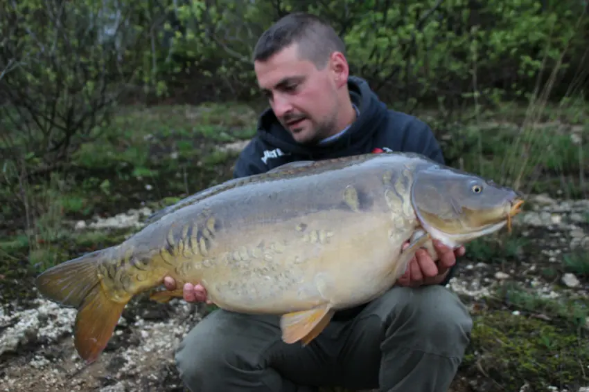 Bouillette low cost pour pêcher la carpe