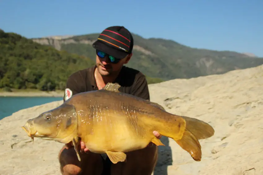 Bouillette low cost pour pêcher la carpe