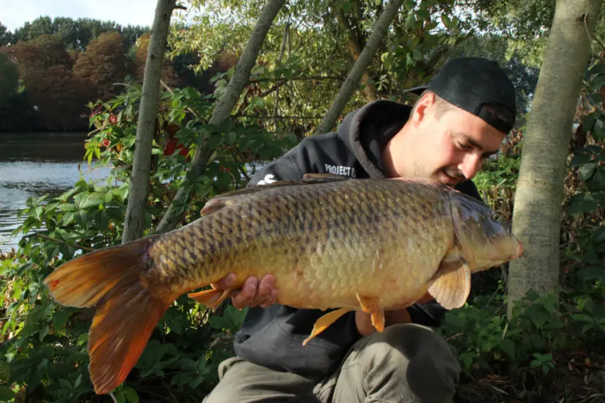 Bouillette low cost pour pêcher la carpe