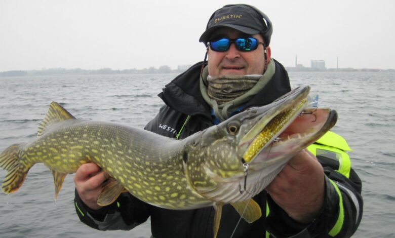 Leurre pour pêcher le brochet à l'ouverture